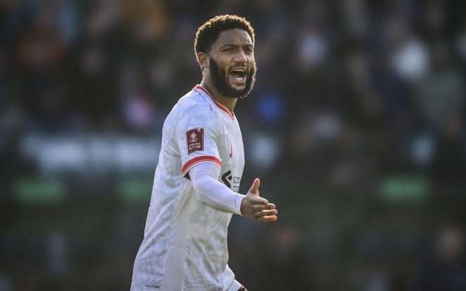 领域不断投 领域不断投